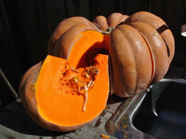 Cutting the pumpkin wedges prior to roasting.