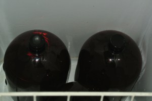 Two of the 3 six liter bottles sitting in the freezer this AM.