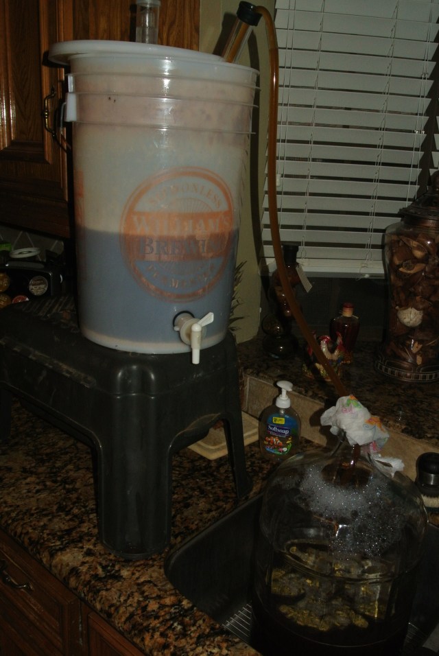 Transfer from primary fermenter to the secondary and hop pellets floating on top.