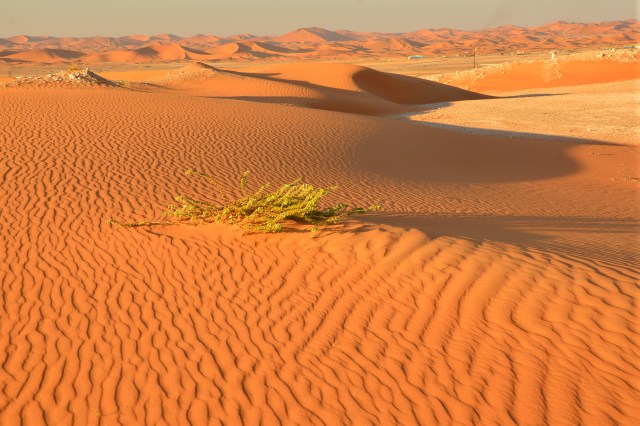 Looking north west from a top a dune adjacent to our humble camp of 7,000 people!