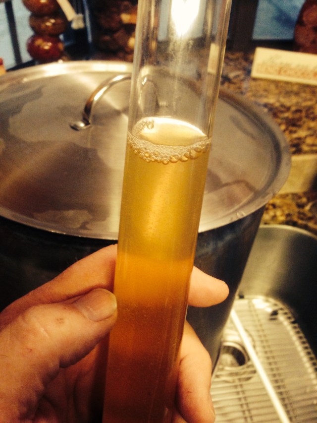 Looks like SRM 3.2  to me...Naked Honey Blonde!