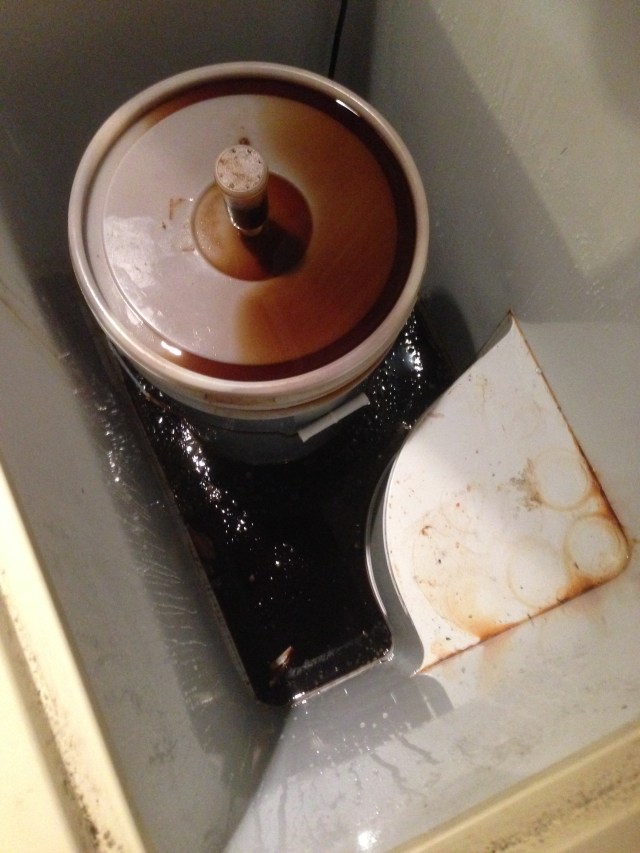 What a mess! The upside is - the freezer is very clean now!